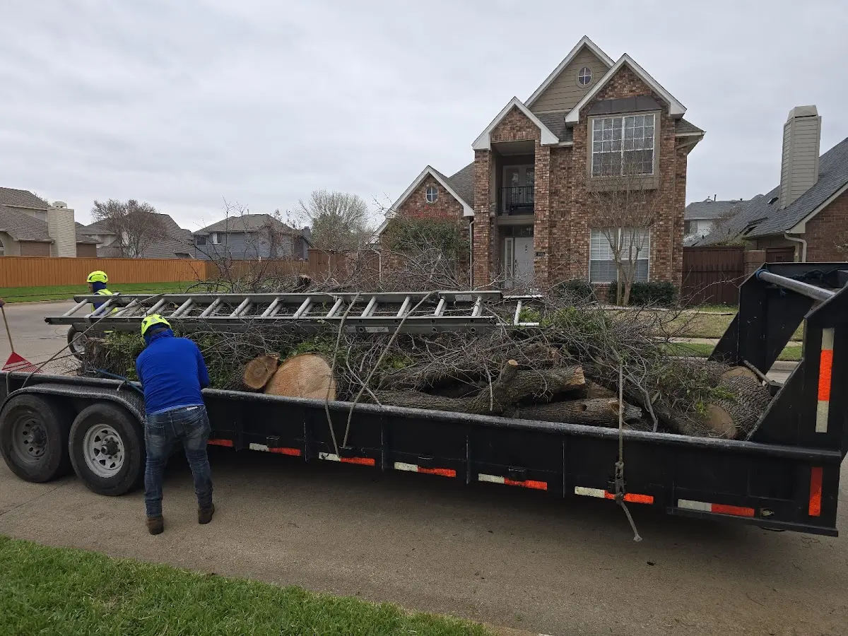 Expert Lot Clearing with proper safety equipment in Magnolia